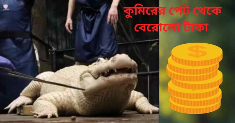 coin-found-in-alligators-stomach